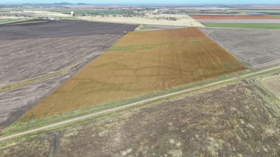 "Mullers Flat"/2022 Oakey Pittsworth Road, Aubigny QLD 4401-Image
