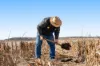 "Mullers Flat"/2022 Oakey Pittsworth Road, Aubigny QLD 4401-Image