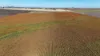 "Mullers Flat"/2022 Oakey Pittsworth Road, Aubigny QLD 4401-Image