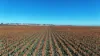 "Mullers Flat"/2022 Oakey Pittsworth Road, Aubigny QLD 4401-Image