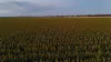 "Mullers Flat"/2022 Oakey Pittsworth Road, Aubigny QLD 4401-Image