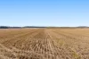 "Mullers Flat"/2022 Oakey Pittsworth Road, Aubigny QLD 4401-Image