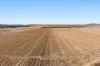 "Mullers Flat"/2022 Oakey Pittsworth Road, Aubigny QLD 4401-Image
