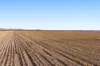 "Mullers Flat"/2022 Oakey Pittsworth Road, Aubigny QLD 4401-Image