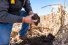 "Mullers Flat"/2022 Oakey Pittsworth Road, Aubigny QLD 4401-Image