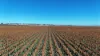 "Mullers Flat" Lot 2022 Oakey Pittsworth Road, Aubigny, Qld 4401-Image