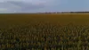 "Mullers Flat" Lot 2022 Oakey Pittsworth Road, Aubigny, Qld 4401-Image