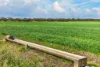 'Mungala' Murdinga-Murlong Road, Murlong, SA 5642-Image