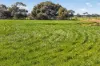 'Murrays' Myrtle Road, Eudunda SA 5374-Image