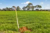 'Murrays' Myrtle Road, Eudunda SA 5374-Image