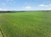 'Murrays' Myrtle Road, Eudunda SA 5374-Image