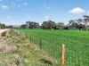 'Murrays' Myrtle Road, Eudunda SA 5374-Image