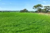 'Murrays' Myrtle Road, Eudunda SA 5374-Image