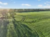 'Murrumbeena' Murrumbeena Road, Hart SA 5464-Image