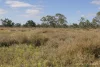 * Nantilla, Wanaaring, NSW 2840-Image