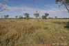* Nantilla, Wanaaring, NSW 2840-Image
