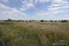 * Nantilla, Wanaaring, NSW 2840-Image