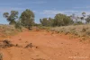 * Nantilla, Wanaaring, NSW 2840-Image