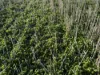 'New Land' Nulla Nulla South Road, South Yilgarn, WA 6426-Image