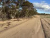 'New Land' Nulla Nulla South Road, South Yilgarn, WA 6426-Image