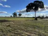 'New Land' Nulla Nulla South Road, South Yilgarn, WA 6426-Image