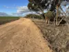 'New Land' Nulla Nulla South Road, South Yilgarn, WA 6426-Image