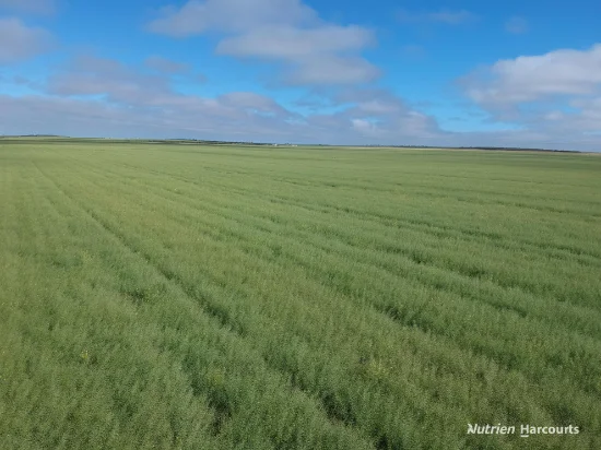 . North West Coastal Highway, Binnu, WA 6532