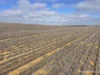 . North West Coastal Highway, Binnu, WA 6532-Image