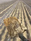 . North West Coastal Highway, Binnu, WA 6532-Image