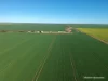 . North West Coastal Highway, Binnu, WA 6532-Image