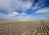 . North West Coastal Highway, Binnu, WA 6532-Image