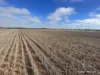. North West Coastal Highway, Binnu, WA 6532-Image