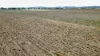 "Paisley" 1009 Waverley Road, Quirindi, NSW 2343-Image