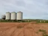 Part Farm 1428 Glenn Road, Murrami NSW 2705-Image