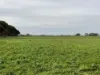 Part Farm 1428 Glenn Road, Murrami NSW 2705-Image