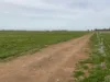 Part Farm 1428 Glenn Road, Murrami NSW 2705-Image