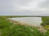 Part Farm 1428 Glenn Road, Murrami NSW 2705-Image