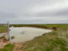 Part Farm 1428 Glenn Road, Murrami NSW 2705-Image
