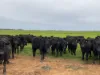 Part Farm 1428 Glenn Road, Murrami NSW 2705-Image