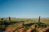 Pompies & Town, Loxton, SA 5333-Image