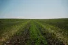 Pompies & Town, Loxton, SA 5333-Image