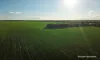 . POSSUM HILL & LEN'S BLOCK, Mindarabin, WA 6336-Image
