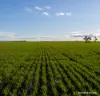 . POSSUM HILL & LEN'S BLOCK, Mindarabin, WA 6336-Image