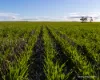 . POSSUM HILL & LEN'S BLOCK, Mindarabin, WA 6336-Image