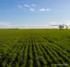 . POSSUM HILL & LEN'S BLOCK, Mindarabin, WA 6336-Image