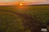 Proposed L Kitto Road, Arthurton, SA 5572-Image