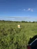 Proposed Lot 2 Molongle Beach Road, Gumlu, Qld 4805