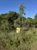 Proposed Lot 2 Molongle Beach Road, Gumlu, Qld 4805-Image