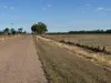 Proposed Lot 2 Molongle Beach Road, Gumlu, Qld 4805-Image