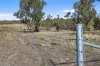 "Roseneath" Roseneath Road, Watsons Creek, NSW 2355-Image